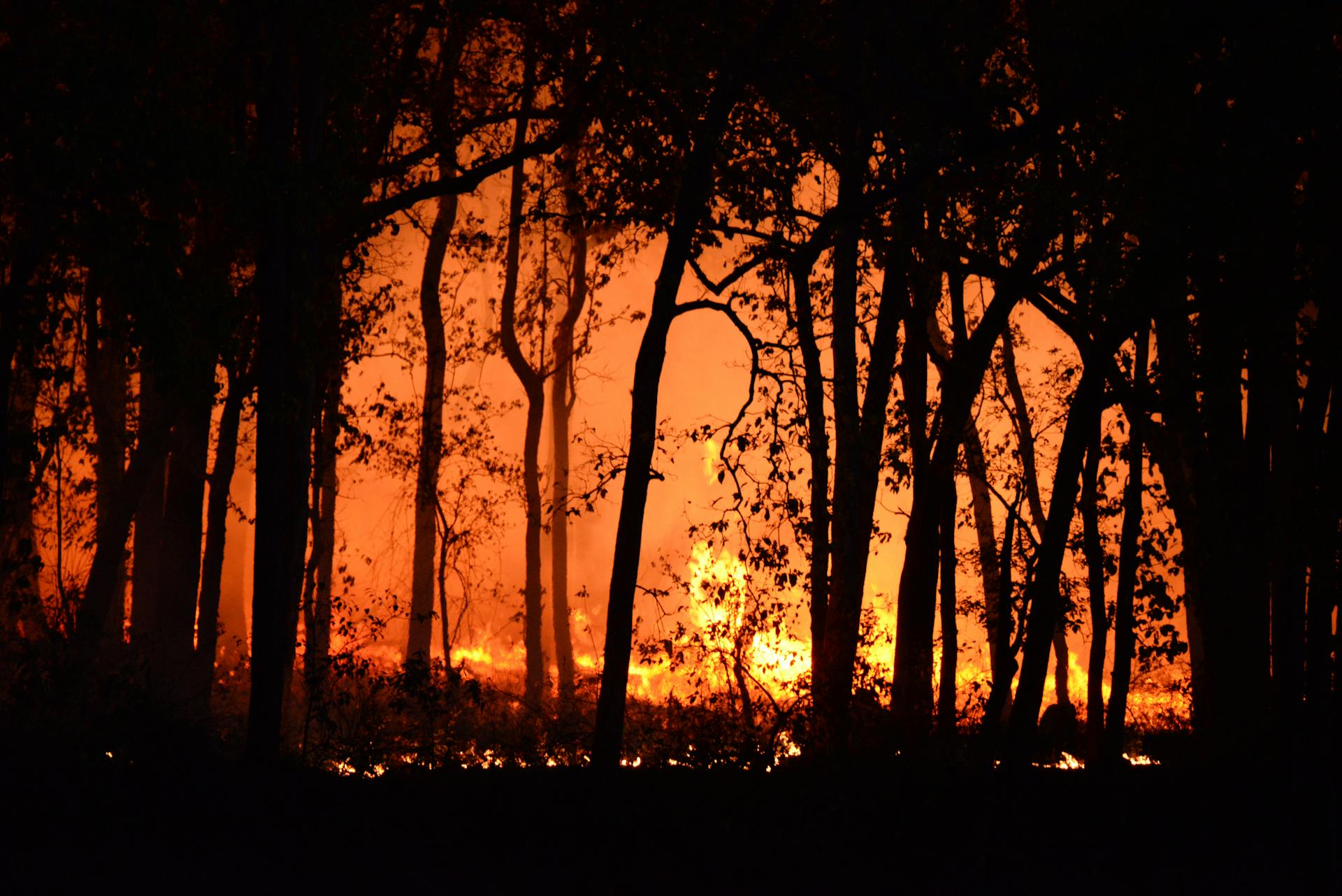 Everything About the Park Fire event at California